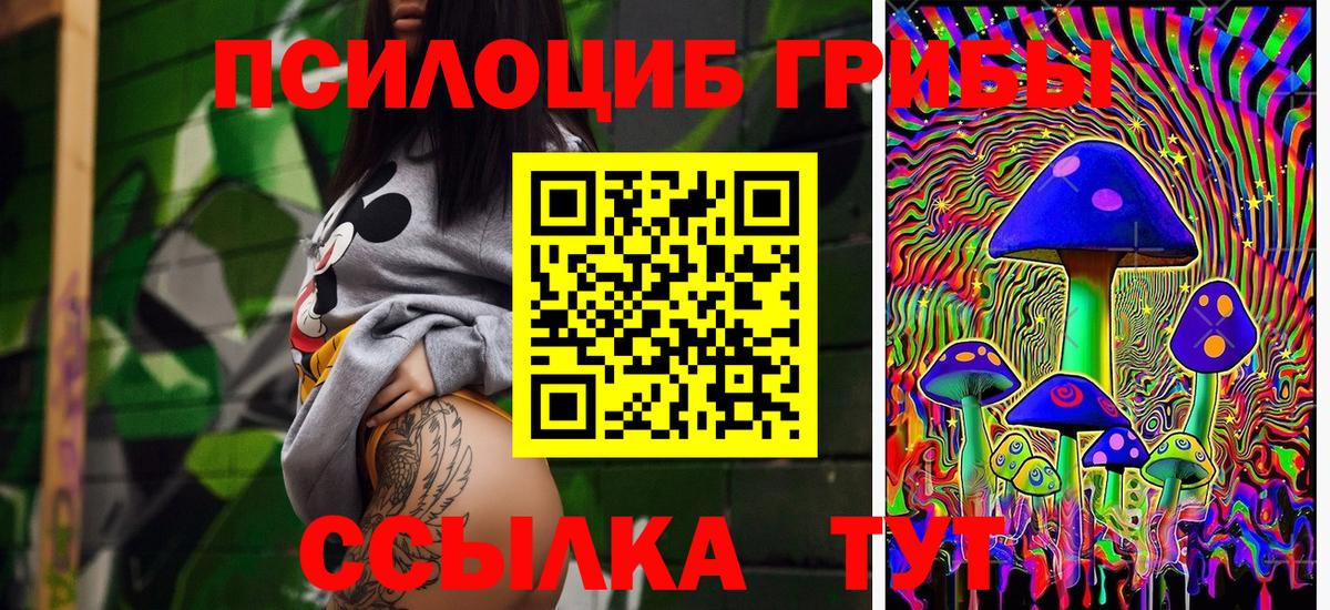 Каменск-Уральский  Псилоцибиновые грибы MAGIC MUSHROOMS  как найти   Вход с VPN 
