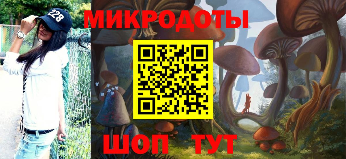Псилоцибиновые грибы Psilocybe Каменск-Уральский